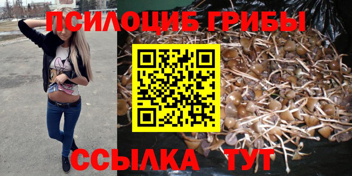 Галлюциногенные грибы Cubensis  Вход с VPN  Сухой Лог 