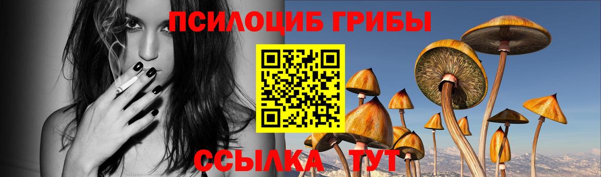 Псилоцибиновые грибы прущие грибы Сухой Лог